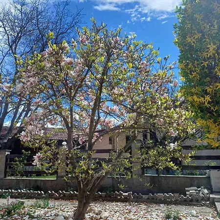 Apartmán One Bedroom Flat With Garden And Barbeque *