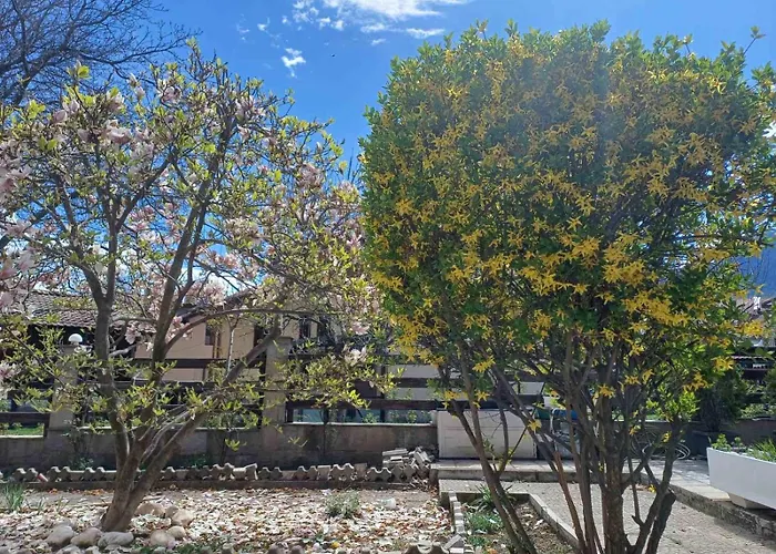 One Bedroom Flat With Garden And Barbeque Apartment *