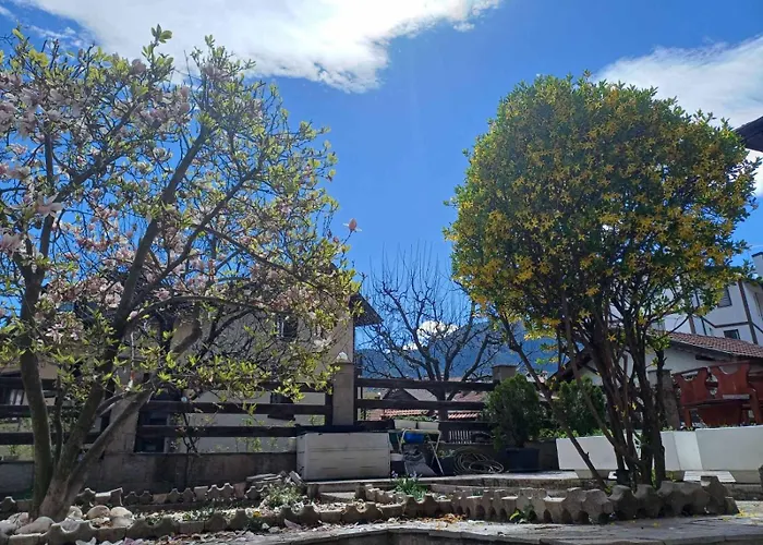 One Bedroom Flat With Garden And Barbeque Apartment Bansko