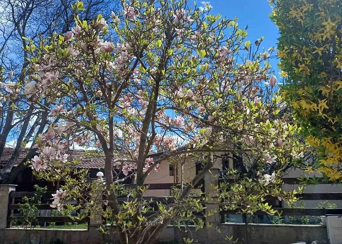 Apartment One Bedroom Flat With Garden And Barbeque *